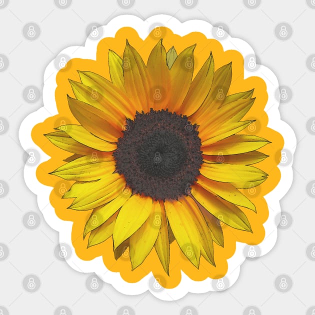 Sunflower Sticker by Braznyc